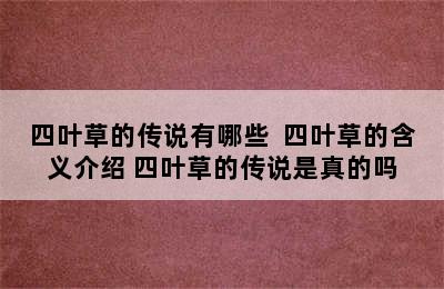 四叶草的传说有哪些  四叶草的含义介绍 四叶草的传说是真的吗